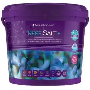 Aquaforest Reef Salt Plus in a purple bucket for aquarium corals.