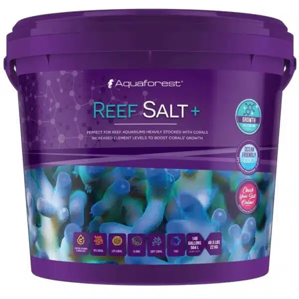 Aquaforest Reef Salt Plus in a purple bucket for aquarium corals.